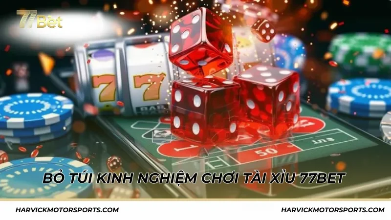 Bỏ túi kinh nghiệm chơi Tài Xỉu 77BET từ cao thủ