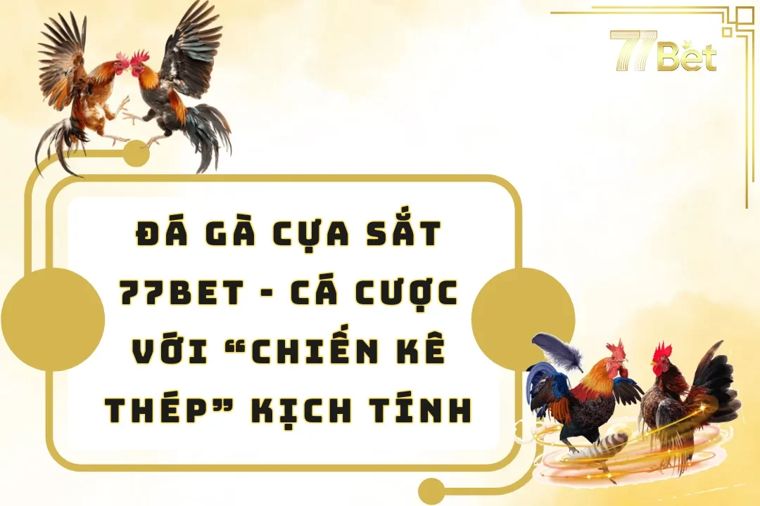 Đá Gà Cựa Sắt 77BET – Cá Cược Với “Chiến Kê Thép” Kịch Tính