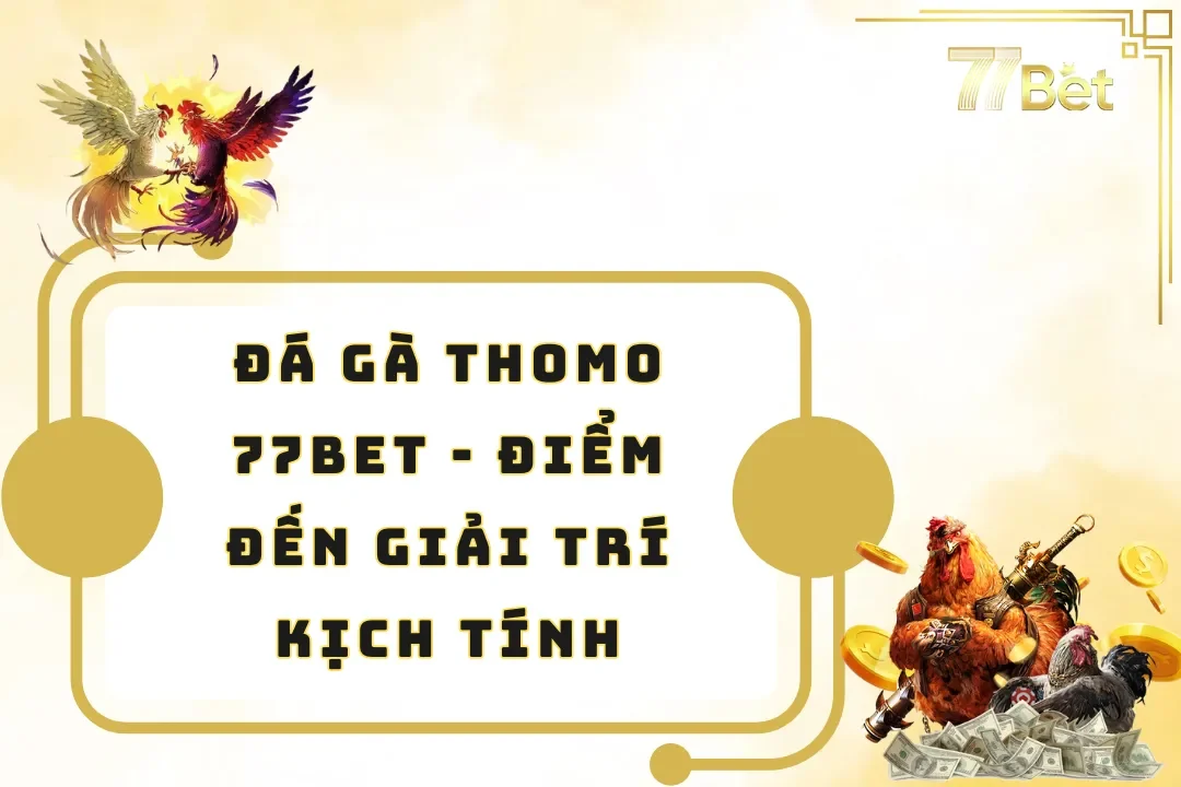 Đá Gà Thomo 77BET –  Điểm Đến Giải Trí Kịch Tính, Hấp Dẫn