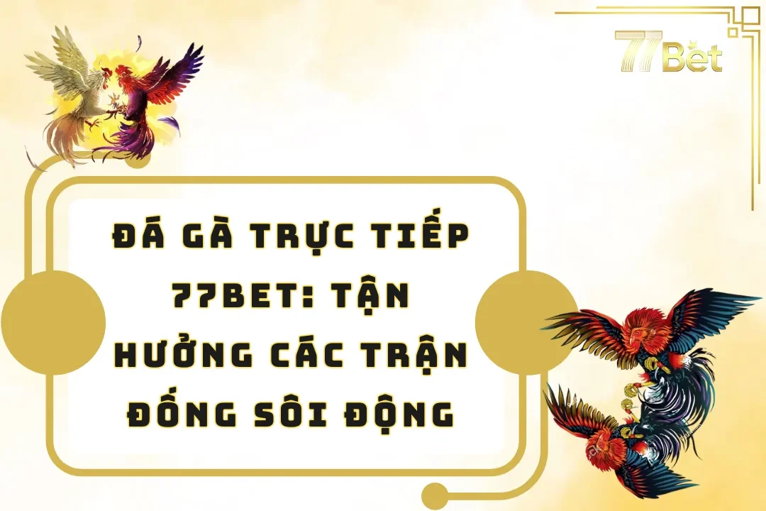 Đá Gà Trực Tiếp 77BET – Tận Hưởng Các Trận Đống Sôi Động
