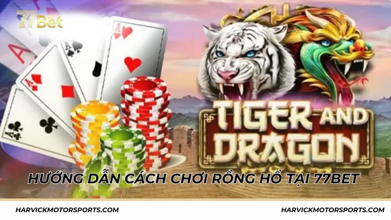 Hướng dẫn tham gia game Rồng Hổ 77BET cho người mới