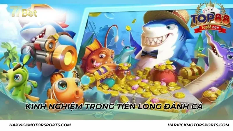 Kinh nghiệm trong Tiền Long Đánh Cá tăng tỷ lệ thắng