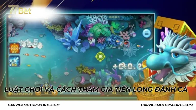 Luật chơi và cách tham gia Tiền Long Đánh Cá 77BET