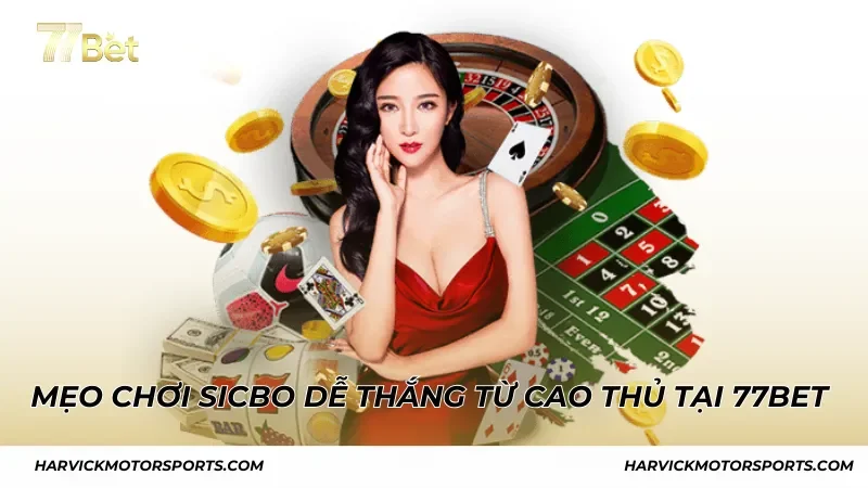 Mẹo chơi Sicbo dễ thắng từ cao thủ tại 77BET