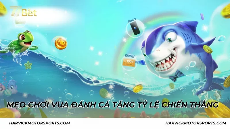 Mẹo chơi Vua Đánh Cá giúp tăng tỷ lệ chiến thắng