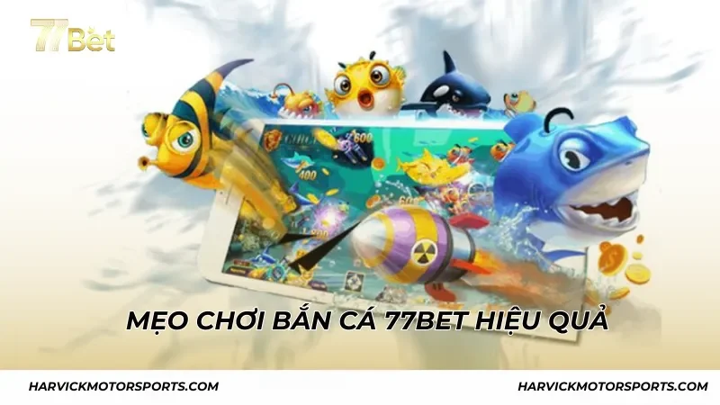 Mẹo chơi bắn cá 77BET hiệu quả cho người mới