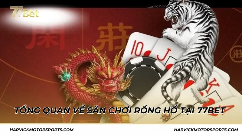 Tổng quan về sân chơi Rồng Hổ tại 77BET